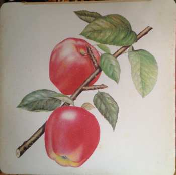 LP The Rolling Stones: Undercover