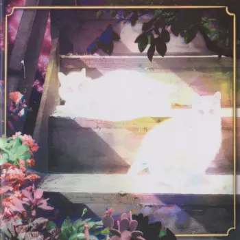 Retinal Bloom