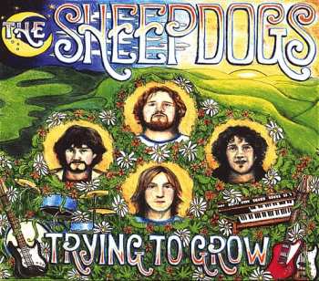 CD The Sheepdogs: Trying To Grow