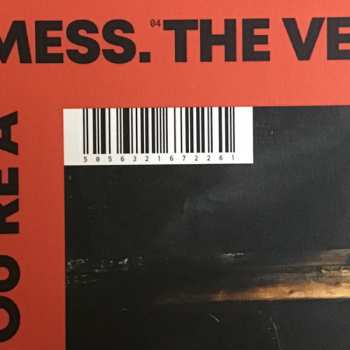 LP The Shits: You're A Mess LTD