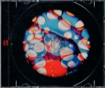 CD The Shivas: Where Have You Gone To?