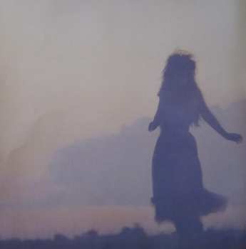 LP The Sisters Of Mercy: Floodland