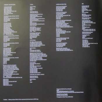 LP The Sisters Of Mercy: Floodland