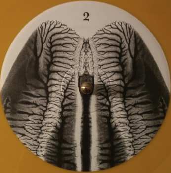 LP The Skull Defekts: Dances In Dreams Of The Known Unknown LTD | CLR