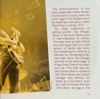 2LP The Stooges: Raw Power CLR