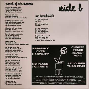 LP The Sunflowers: You Have Fallen... Congratulations! CLR | LTD | NUM