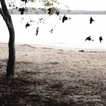CD The Tallest Man on Earth: There's No Leaving Now