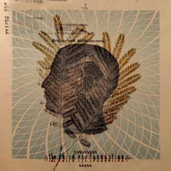 Album The Third Eye Foundation: Wake the Dead