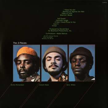 LP The Three Pieces: Vibes Of Truth