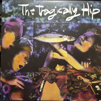 3LP/Set di cofanetti/Blu-ray The Tragically Hip: Fully Completely DLX