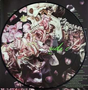 2LP The Used: Toxic Positivity LTD | PIC