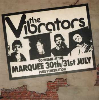 4CD/Set di cofanetti The Vibrators: The Epic Years 1976-1978