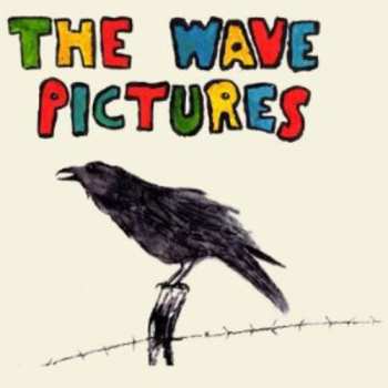 Album The Wave Pictures: City Forgiveness