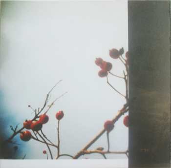 DVD The Wedding Present: I'm From Further North Than You