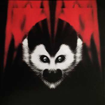 2LP/DVD/SP/Set di cofanetti The White Stripes: Under Amazonian Lights CLR | LTD