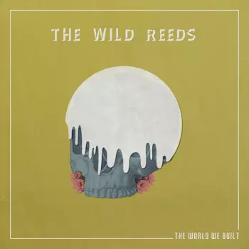 The World We Built