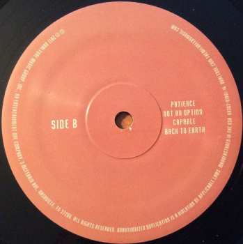 2LP The Wild Reeds: The World We Built