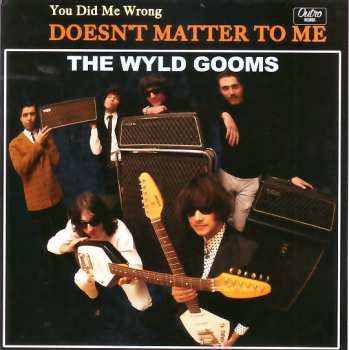 SP The Wyld Gooms: You Did Me Wrong / Doesn't Matter To Me
