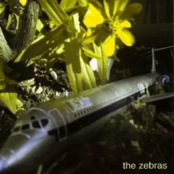 The Zebras: The Zebras