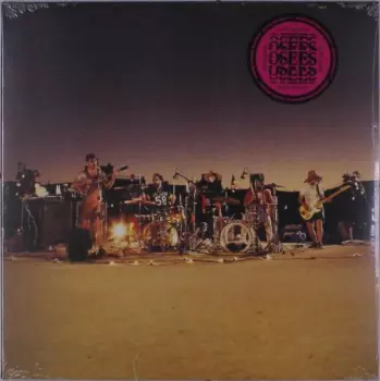 Thee Oh Sees: Levitation Sessions