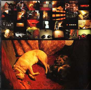 CD Theresa Andersson: Shine