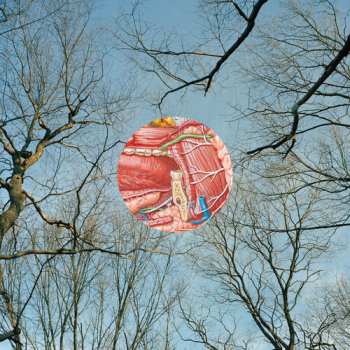 CD They Might Be Giants: Glean