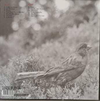 LP Thomas Fersen: Le Bal Des Oiseaux