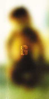 CD Throbbing Gristle: Mutant Throbbing Gristle