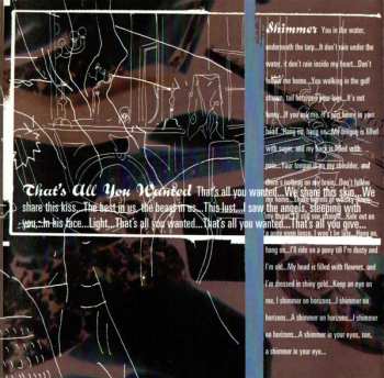 CD Throwing Muses: University