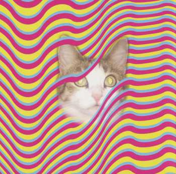 CD Thundercat: Drunk