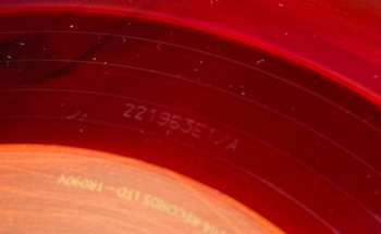 LP Tiamat: Wildhoney