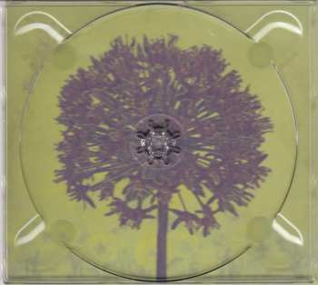 CD Tillison Reingold Tiranti: Allium: Una Storia