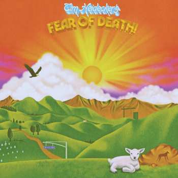 LP Tim Heidecker: Fear Of Death CLR