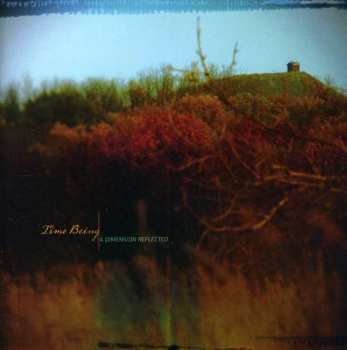 CD Time Being: A Dimension Reflected