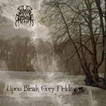CD Timor Et Tremor: Upon Bleak Grey Fields