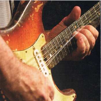 CD Tinsley Ellis: Ice Cream In Hell