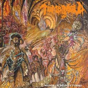 LP Tomb Mold: Manor Of Infinite Forms