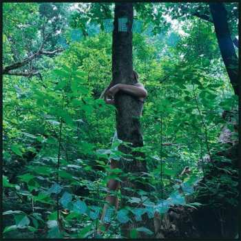 LP Tomberlin: Projections LTD | PIC