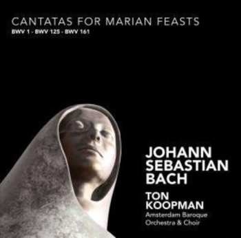Album Ton Koopman: Cantatas For Marian Feasts