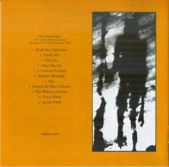 CD Tony Banks: A Curious Feeling