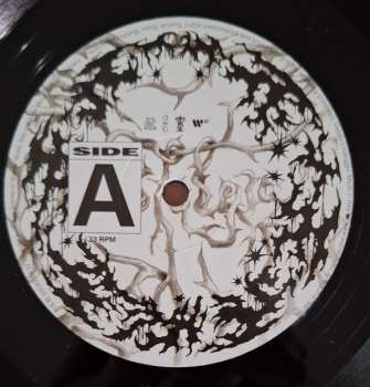 LP Tony Boy: Nostalgia (Export)