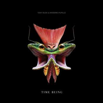 LP Massimo Pupillo: Time Being