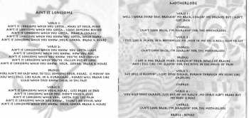 CD Too Slim And The Taildraggers: The Fortune Teller