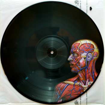 2LP Tool: Lateralus LTD | PIC