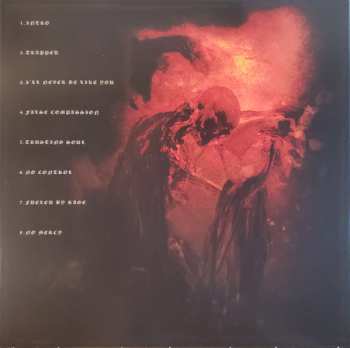 LP Torena: No Control