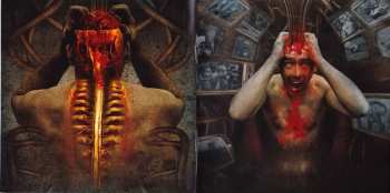 CD Tortharry: Follow