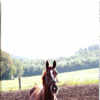 CD Tosca: Pony No Hassle Versions