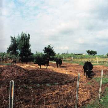 CD Towa Tei: Lost Control Mix