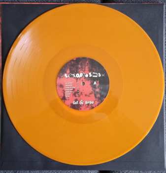 LP Toxoplasma: Gut & Böse CLR | LTD