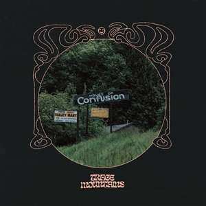 LP Trace Mountains: House of Confusion CLR